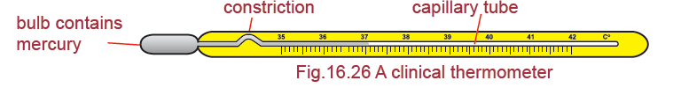 Clinical Thermometer