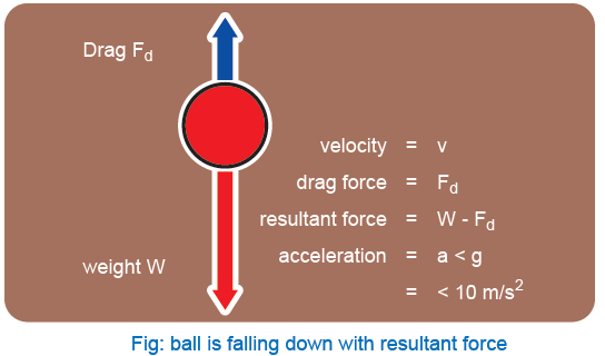 Ball at the Point of Release