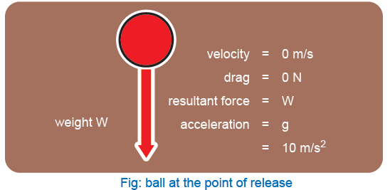 Ball at the Point of Release